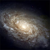 Image of the spiral galaxy NGC 4414